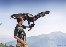 Haus Standlgut in Rauris, Oostenrijk Roofvogelshow Haus Standlgut 30pluskids