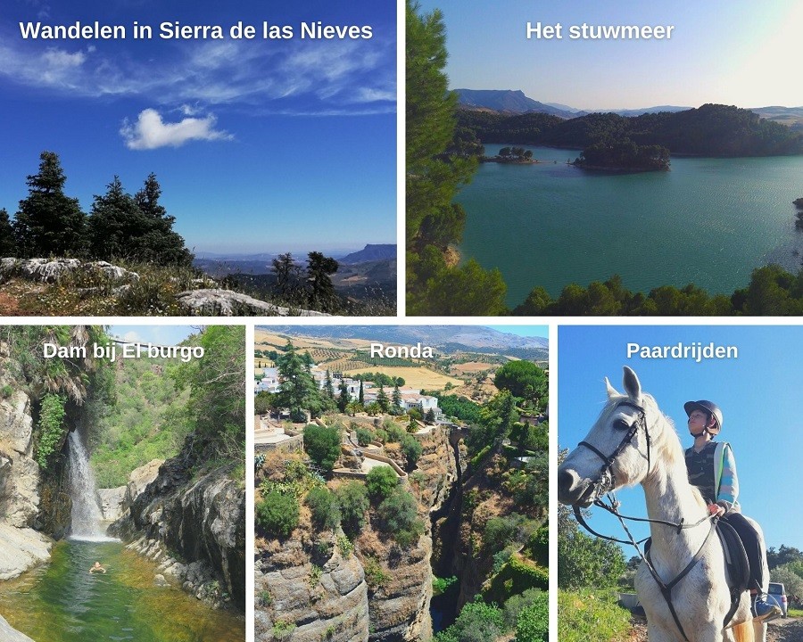 Nido Aguila Blanca in Guaro, Spanje collage omgeving