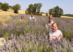 Domaine La Grangette in Zuid-Frankrijk lavendelveld Domaine La Grangette 30pluskids