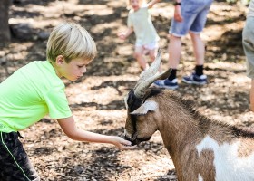 Camping les Charmilles Ardèche 11 Camping les Charmilles 30pluskids