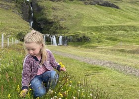 Senja Reizen rondreis IJsland met kinderen ijsland-kind-bloemetjes-waterval Rondreis IJsland met kinderen  30pluskids