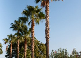 La Granja de Antonio in Andalusie Spanje buiten Glamping op La Granja de Antonio 30pluskids