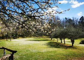 Camping Le Pech Charmant in de Dordogne, Frankrijk bloesem Camping Le Pech Charmant 30pluskids