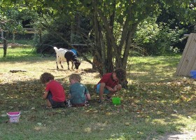 Familie Fiets Vakantie in de Allier, Frankrijk noten_rapen Familie fietsvakantie in de Allier 30pluskids