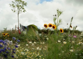 Le Petit Montperroux in de Bourgogne Frankrijk tenten met bloemen Camping Le Petit Montperroux 30pluskids