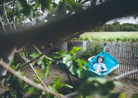 Domaine St Pierre hangmat kl.jpg Domaine St. Pierre 30pluskids
