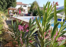 Nido Aguila Blanca in Andalusie, Spanje huis en zwembad Nido Aguila Blanca 30pluskids