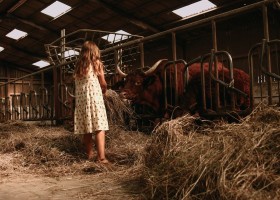 Boerenbed Rochefort en Ardenne in Belgie stal BoerenBed Rochefort en Ardenne 30pluskids