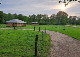 Klein Koestapel in Putten op de Veluwe, Nederland safaritenten Klein Koestapel 30pluskids