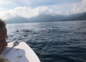 Travelnauts rondreis Brazilie-boot-dolfijnen Travelnauts Rondreis Brazilië  30pluskids