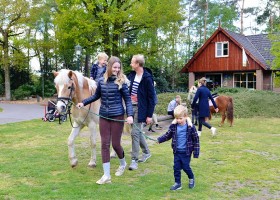Bosvillapark Eureka in Twente, Nederland ponyrijden Villapark Eureka 30pluskids