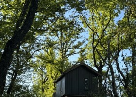 Bonneblond in de Auvergne, Frankrijk boomhut Domaine Bonneblond 30pluskids