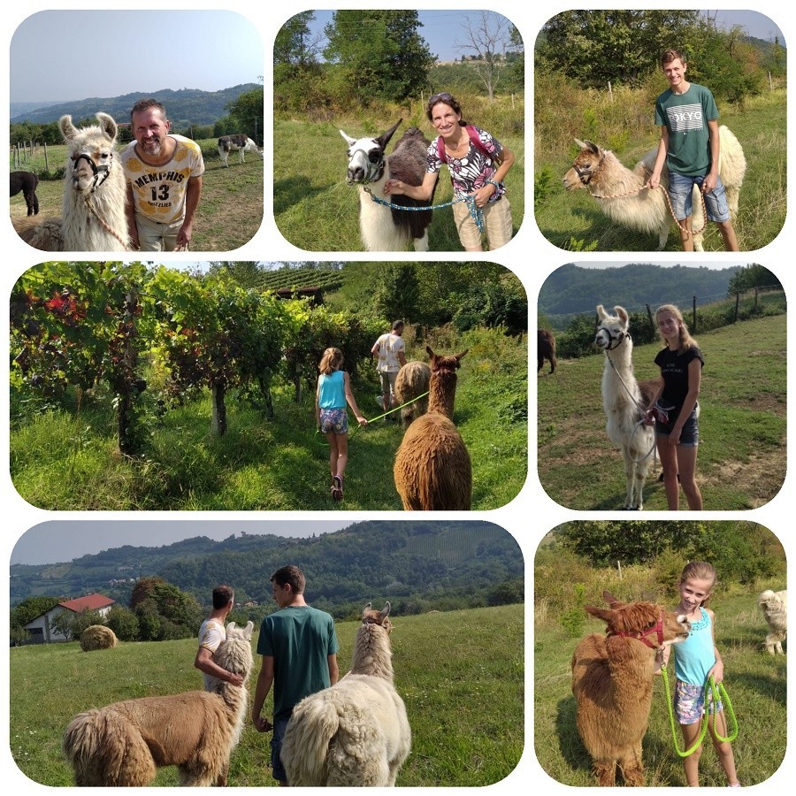 Agriturismo Crose in Italie, Collage_lama
