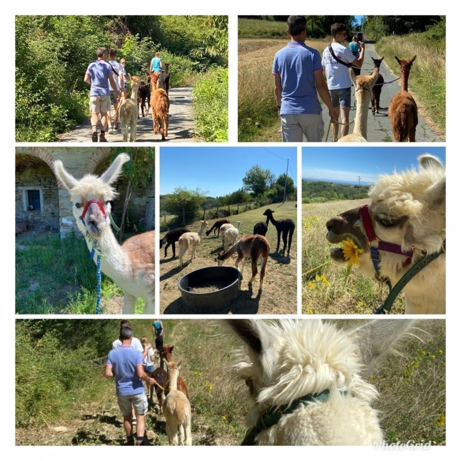 Agriturismo Crose, Italie lamawandeling