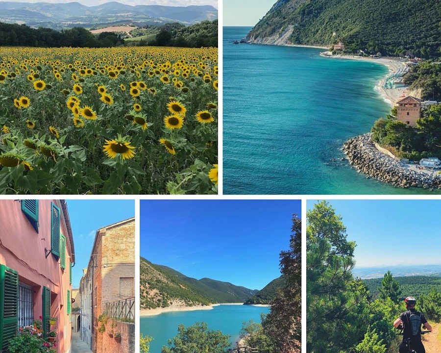 Case Leonori in Le Marche, Italie collage