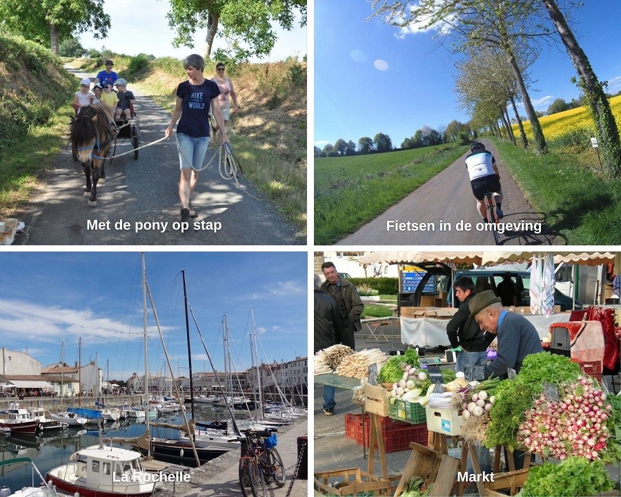 Collage Le Petit Chaillot