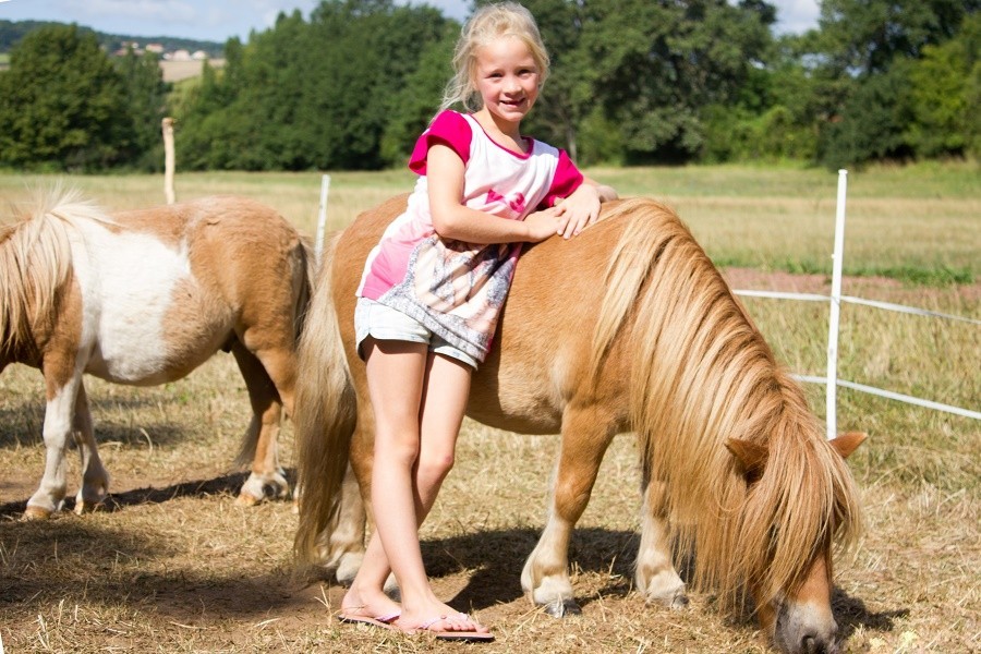 Domaine des Lilas in de Auvergne, Frankrijk kindje met de pony's