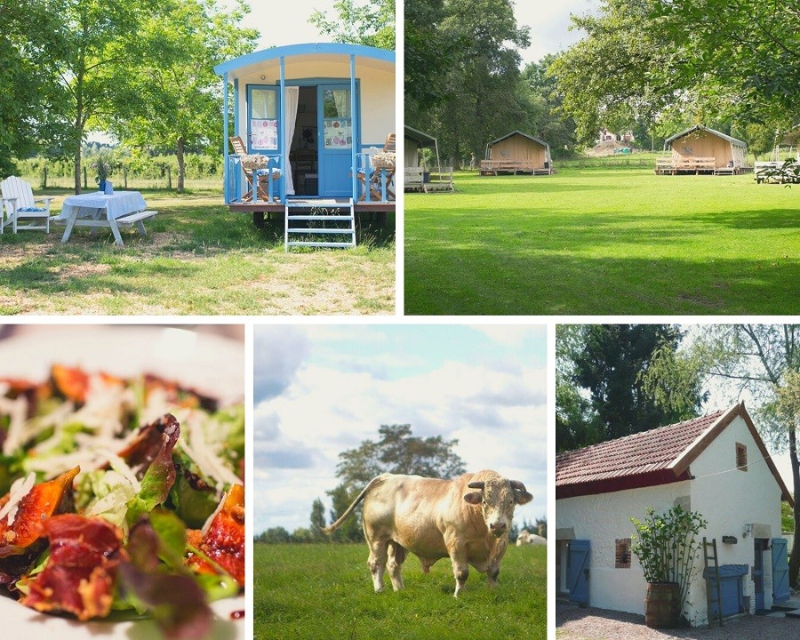 Domaine La Terrasse, Frankrijk collage  (1)