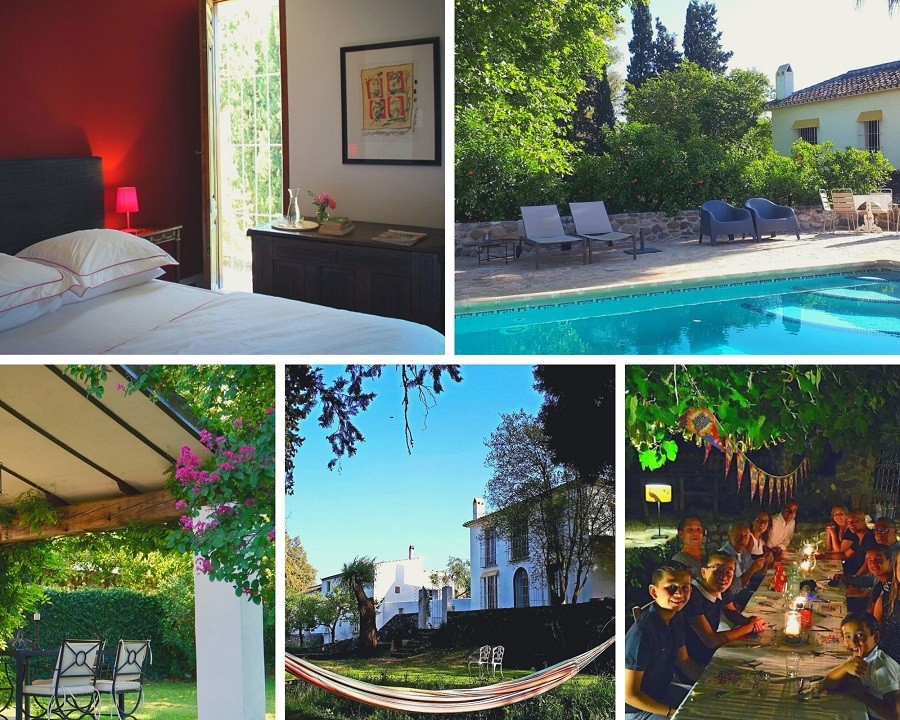 El Molino Santisteban  collage