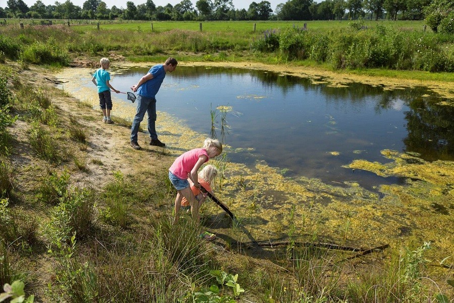 Erfgoed Bossem in Lattrop, Nederland bij de kikkerpoel