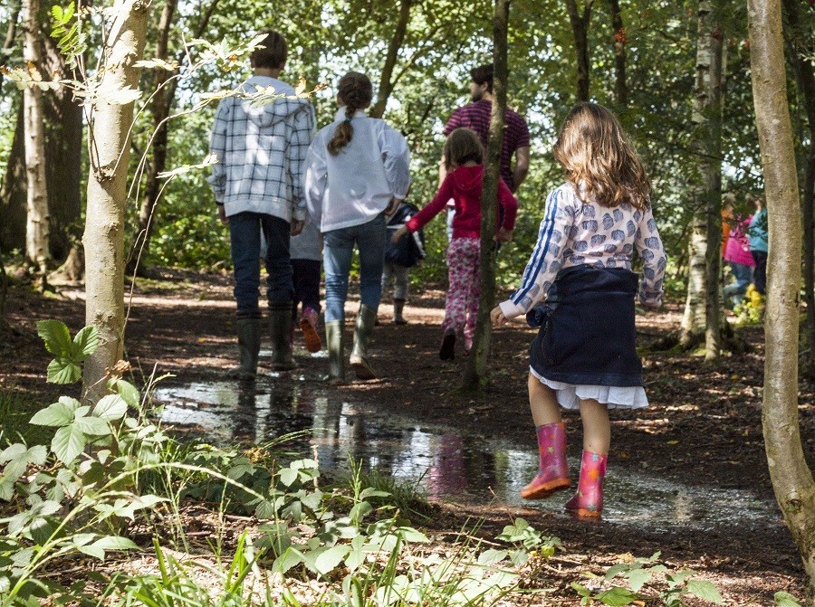 Erfgoed Bossem in Twente, Nederland struinen door de plassen