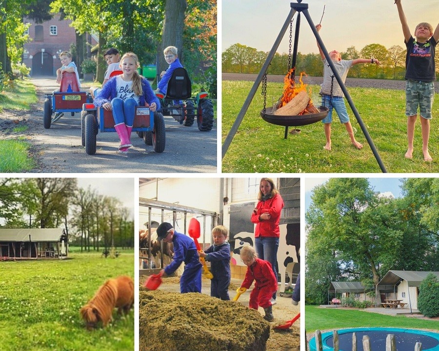 Landrijk de Reesprong in Twente collage activiteiten