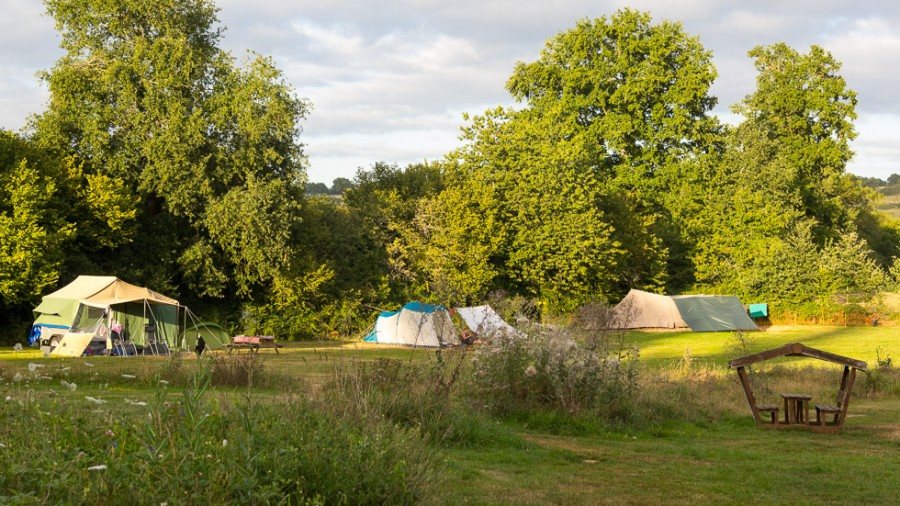 Le Petit Mas d'Ile in de Charente, Frankrijk camping-veld2