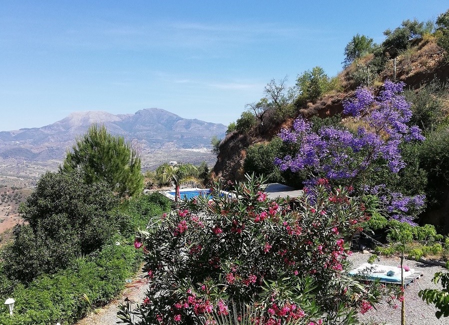 Nido Aguila Blanca in Andalusie, Spanje prachtig gelegen zwembad