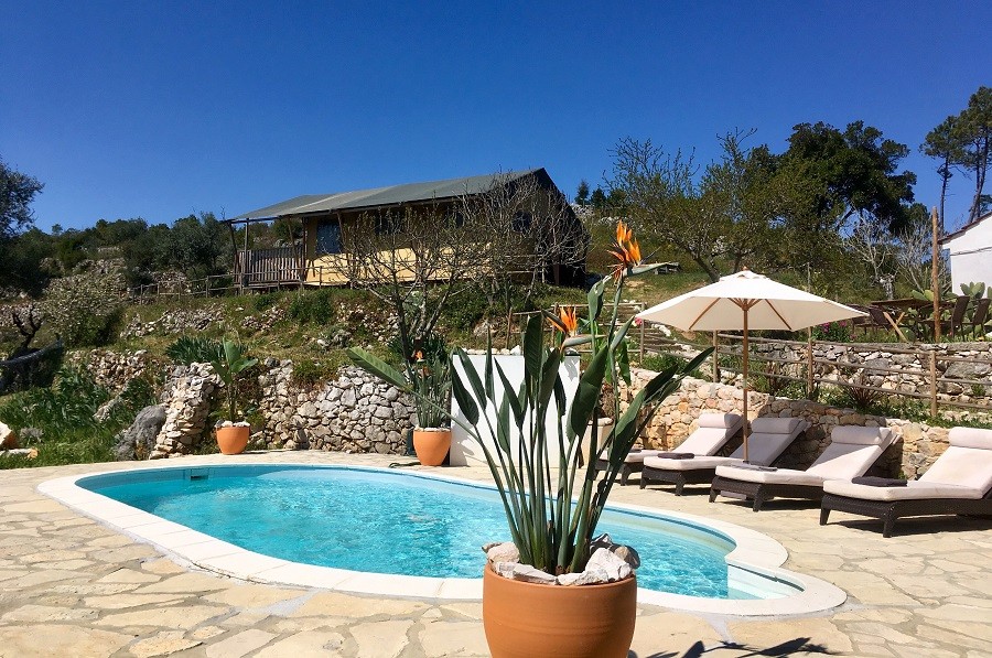 Quinta Vida Verde in Macieira Almoster, Portugal zwembad