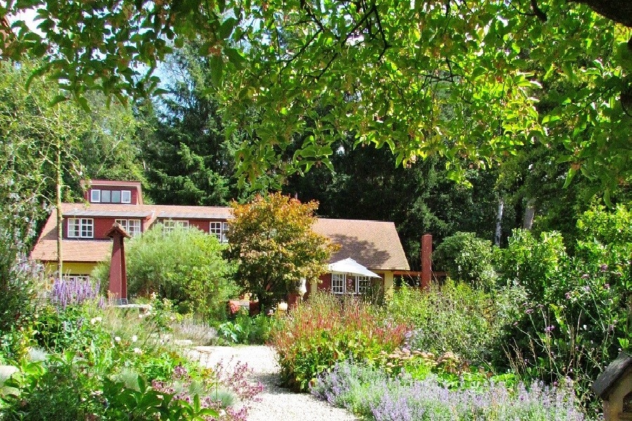 Special Villas Buitenplaets de Heide in Overijssel, Nederland tuin in bloei