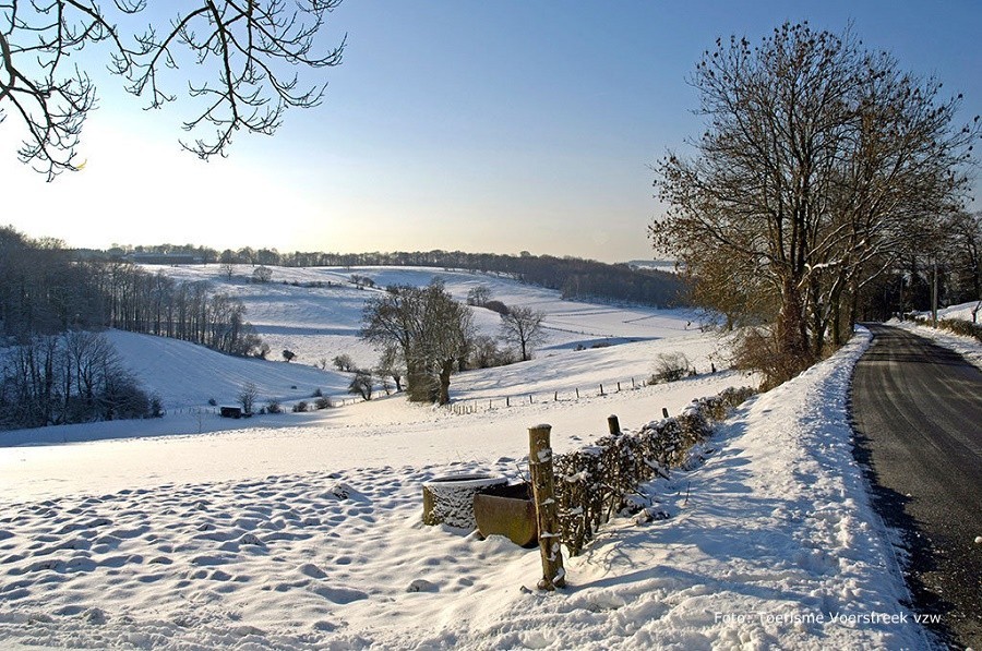 Special Villas Voerstreek