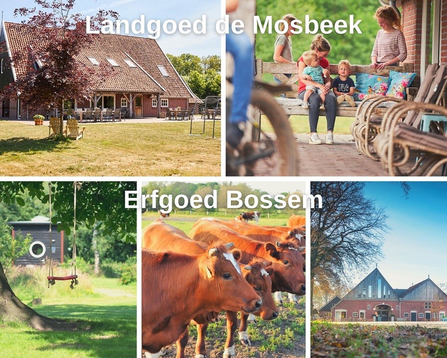 Twente, Nederland De Mosbeek en Bossem