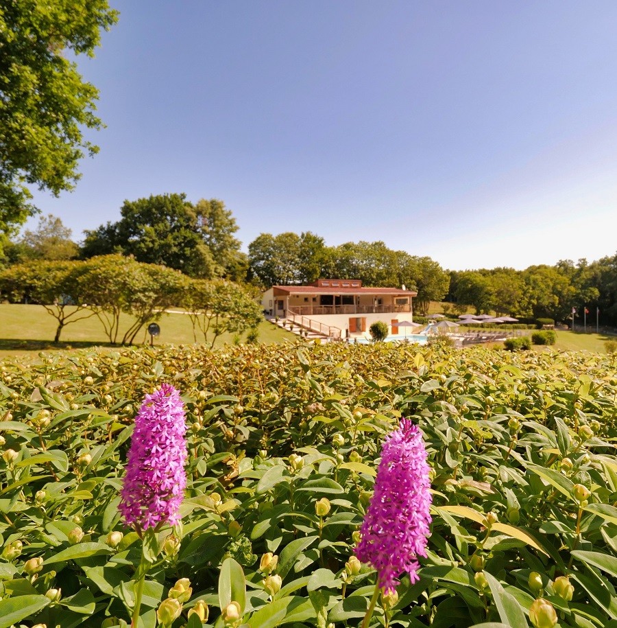 Vakantiepark Platus in Marminiac, Frankrijk 13 blog overzicht